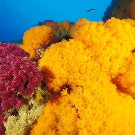 בית הארחה Mare E Timo 4*