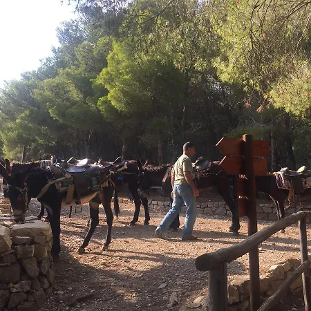 Pensionat Mare E Timo 4*