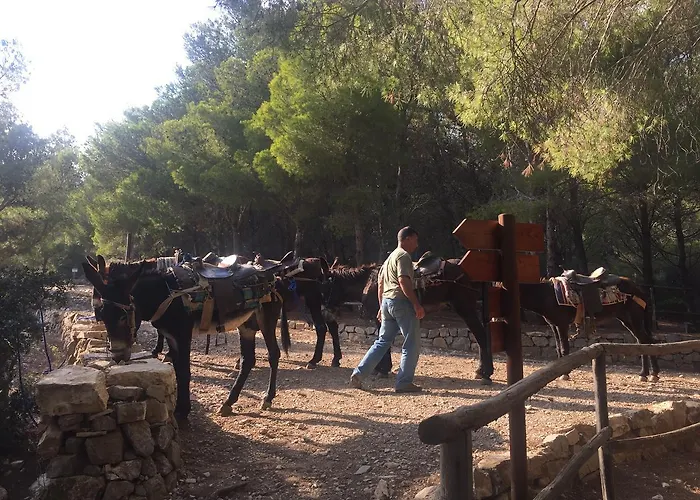 Pensionat Mare E Timo 4*